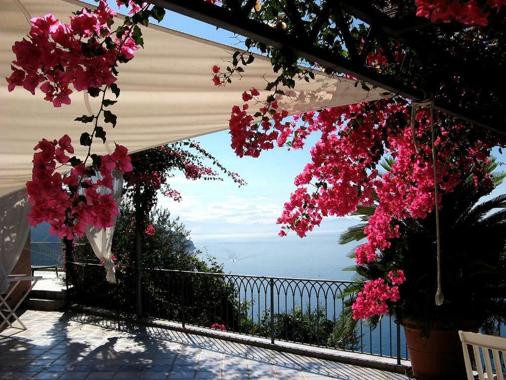 Suite I Limoni Ravello Exteriér fotografie