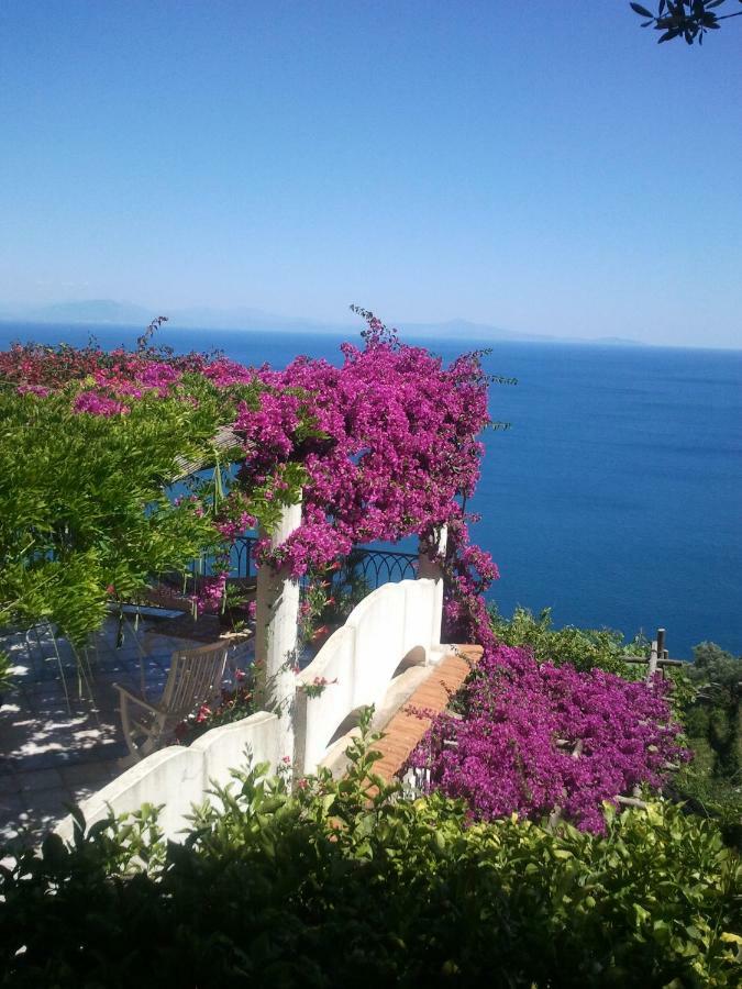 Suite I Limoni Ravello Exteriér fotografie